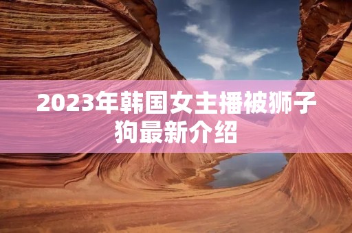 2023年韩国女主播被狮子狗最新介绍