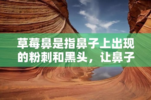 草莓鼻是指鼻子上出现的粉刺和黑头,让鼻子看起来像是草莓一样,给人留下不整洁的印象。而草莓鼻的形成是由于毛孔堵塞、皮脂分泌过多、角质层过厚等原因造成的。如果不及时去除,会导致毛孔越来越粗大,皮肤越来越粗糙,经常出现油光满面的现象。那么怎么去草莓鼻呢? 草莓鼻是指鼻子上出现的粉刺和黑头,让鼻子看起来像是草莓一样,给人留下不整洁的印象。而草莓鼻的形成是由于毛孔堵塞、皮脂分泌过多、角质层过厚等原因造成的。如果不及时去除,会导致毛孔越来越粗大,皮肤越来越粗糙,经常出现油光满面的现象。那么怎么去草莓鼻呢?