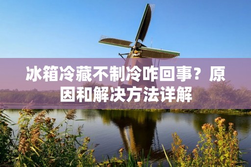 冰箱冷藏不制冷咋回事？原因和解决方法详解