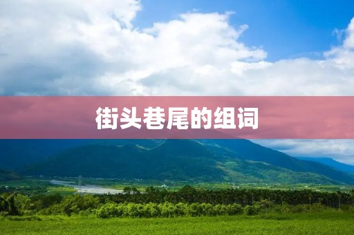 街头巷尾的组词