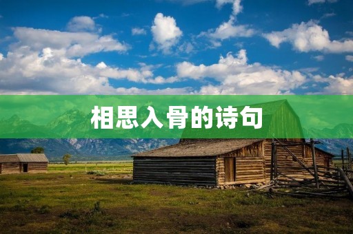 相思入骨的诗句