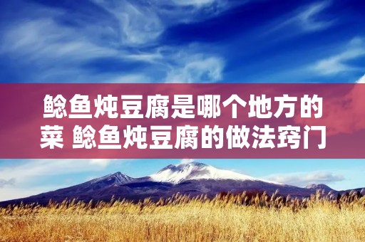 鲶鱼炖豆腐是哪个地方的菜 鲶鱼炖豆腐的做法窍门 鲶鱼炖豆腐是哪个地方的菜 鲶鱼炖豆腐的做法窍门