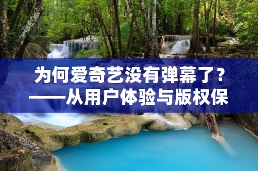 为何爱奇艺没有弹幕了？——从用户体验与版权保护的角度看