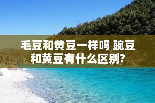 毛豆和黄豆一样吗 豌豆和黄豆有什么区别?