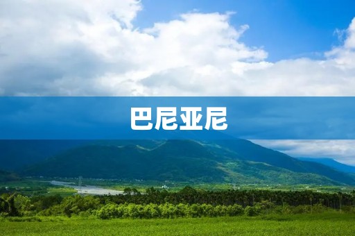 巴尼亚尼:一位意大利艺术家的传奇 巴尼亚尼:一位意大利艺术家的传奇