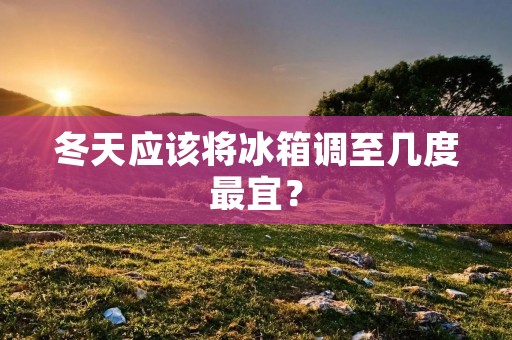 冬天应该将冰箱调至几度最宜? 冬天应该将冰箱调至几度最宜?