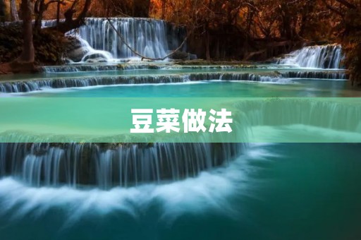 豆菜做法：教你如何做出美味的豆菜佳肴