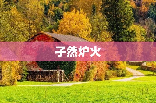 孑然炉火：独自一人的烈焰