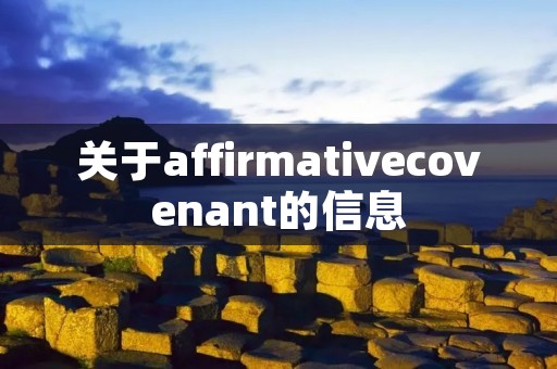 关于affirmativecovenant的信息