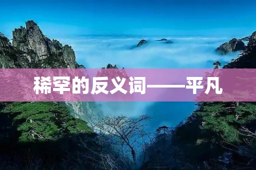 稀罕的反义词——平凡