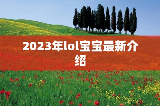2023年lol宝宝最新介绍