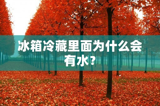 冰箱冷藏里面为什么会有水？