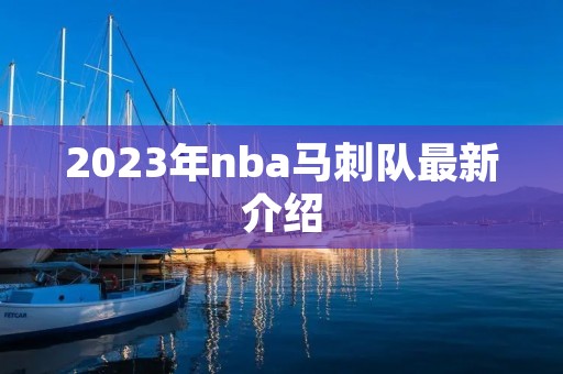 2023年nba马刺队最新介绍
