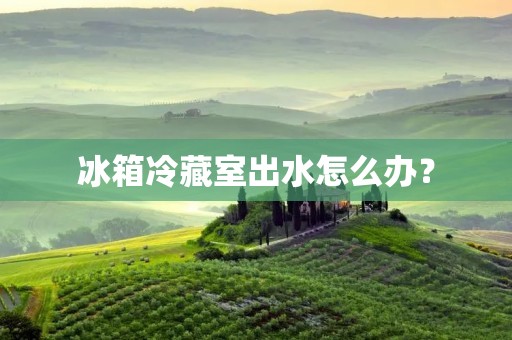 冰箱冷藏室出水怎么办？