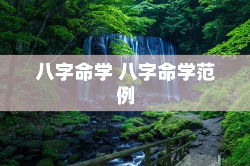 八字命学 八字命学范例