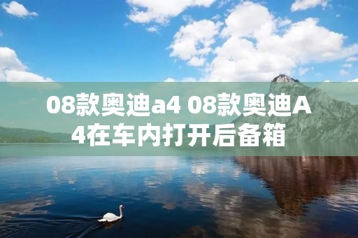 08款奥迪a4 08款奥迪A4在车内打开后备箱