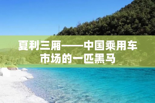 夏利三厢——中国乘用车市场的一匹黑马 夏利三厢——中国乘用车市场的一匹黑马