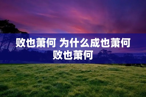 败也萧何 为什么成也萧何败也萧何