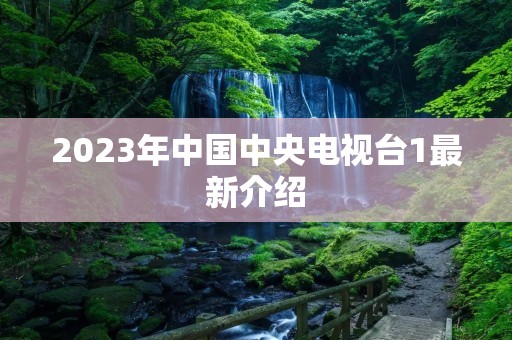 2023年中国中央电视台1最新介绍