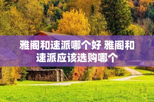 雅阁和速派哪个好 雅阁和速派应该选购哪个