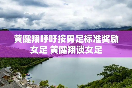 黄健翔呼吁按男足标准奖励女足 黄健翔谈女足 黄健翔呼吁按男足标准奖励女足 黄健翔谈女足
