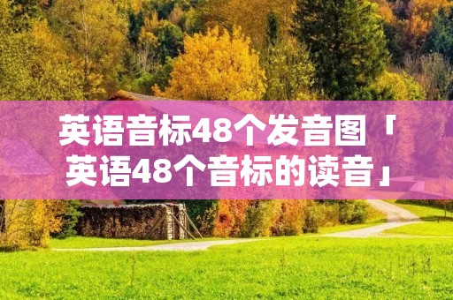 英语音标48个发音图「英语48个音标的读音」