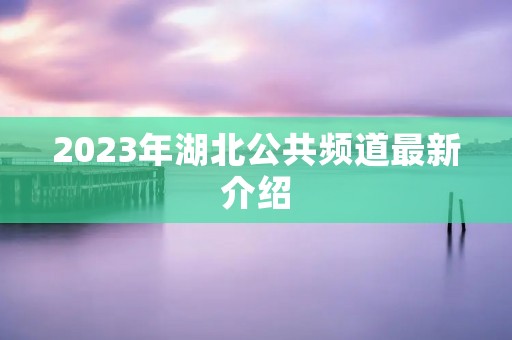 2023年湖北公共频道最新介绍