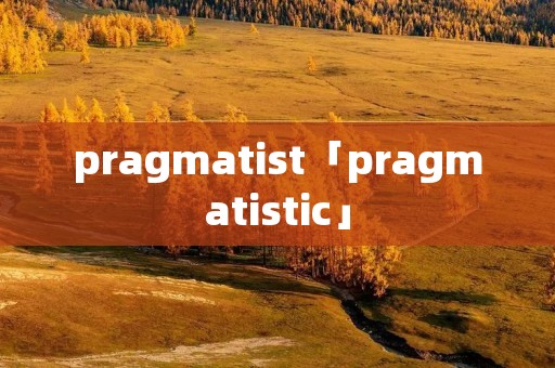 pragmatist「pragmatistic」