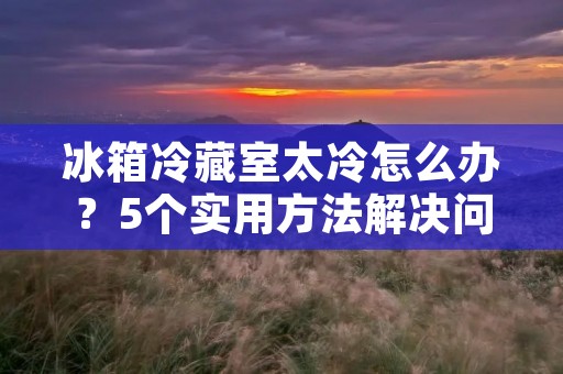 冰箱冷藏室太冷怎么办？5个实用方法解决问题