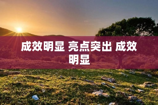 成效明显 亮点突出 成效明显