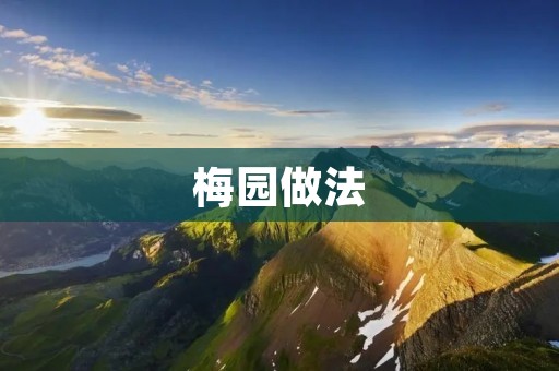 梅园做法:打造美味梅酒的完美配方 梅园做法:打造美味梅酒的完美配方
