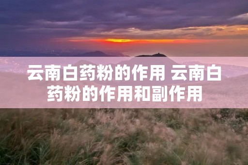 云南白药粉的作用 云南白药粉的作用和副作用
