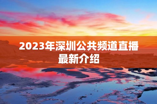 2023年深圳公共频道直播最新介绍