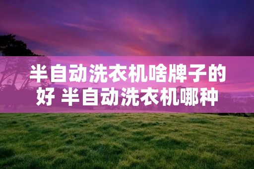 半自动洗衣机啥牌子的好 半自动洗衣机哪种牌子好 半自动洗衣机啥牌子的好 半自动洗衣机哪种牌子好