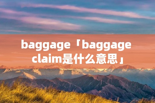 baggage「baggage claim是什么意思」