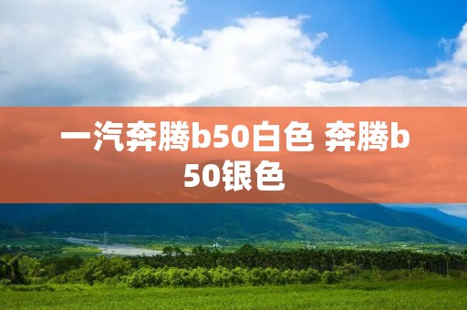 一汽奔腾b50白色 奔腾b50银色 一汽奔腾b50白色 奔腾b50银色