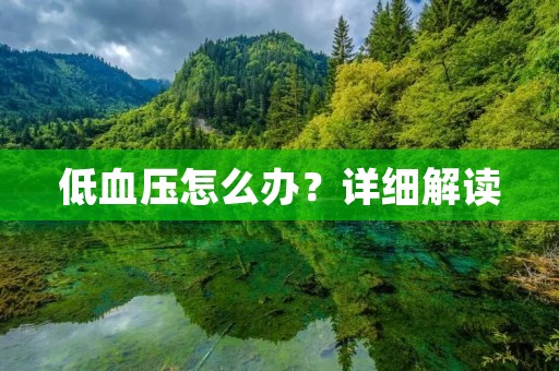 低血压怎么办?详细解读 低血压怎么办?详细解读