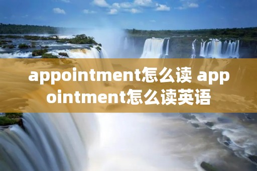 appointment怎么读 appointment怎么读英语