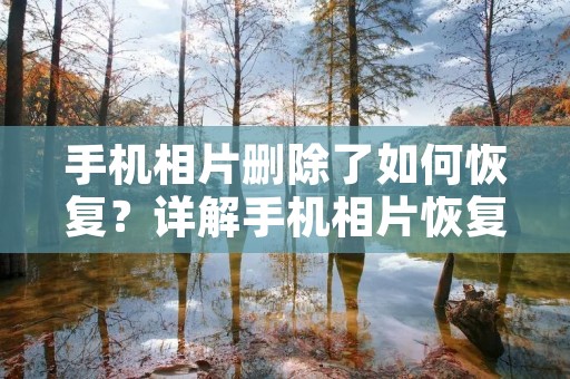 手机相片删除了如何恢复？详解手机相片恢复方法
