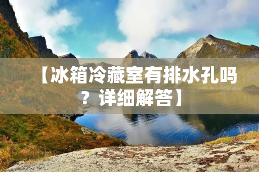 【冰箱冷藏室有排水孔吗？详细解答】