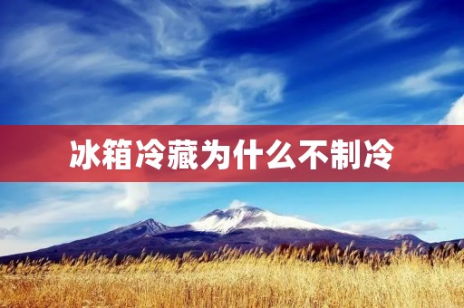 冰箱冷藏为什么不制冷：可能的原因及解决方案