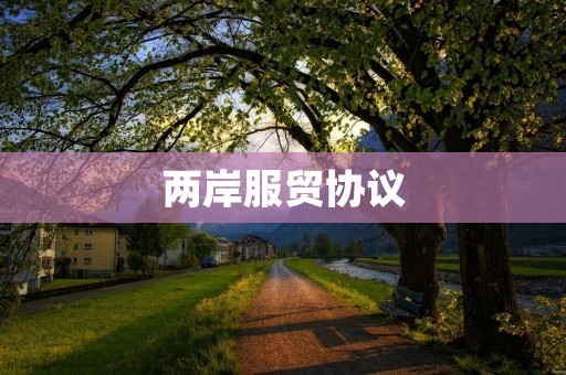 两岸服贸协议:机遇与挑战 两岸服贸协议:机遇与挑战