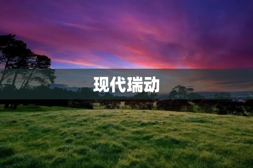 现代瑞动：中国汽车行业的新锐力量