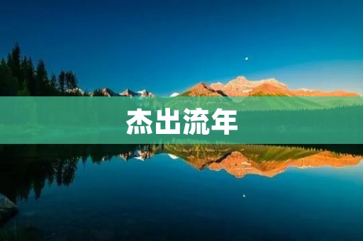 杰出流年：成就辉煌的人生
