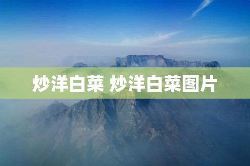 炒洋白菜 炒洋白菜图片