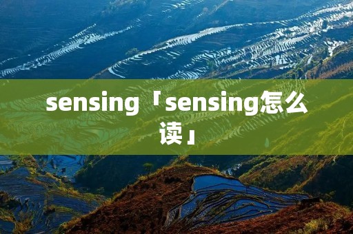sensing「sensing怎么读」