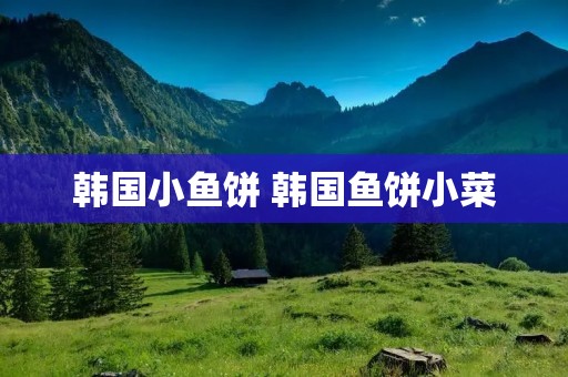 韩国小鱼饼 韩国鱼饼小菜