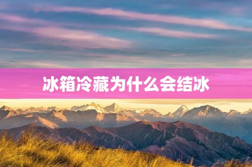 冰箱冷藏为什么会结冰