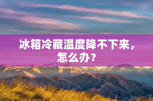冰箱冷藏温度降不下来,怎么办? 冰箱冷藏温度降不下来,怎么办?