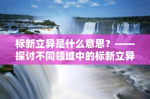 标新立异是什么意思?——探讨不同领域中的标新立异